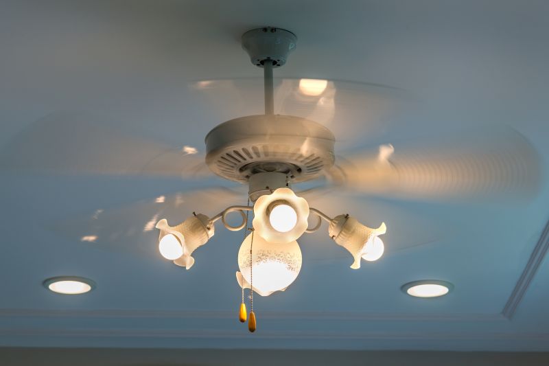 Ceiling Fan And Light Fixture Installation By A Handyman